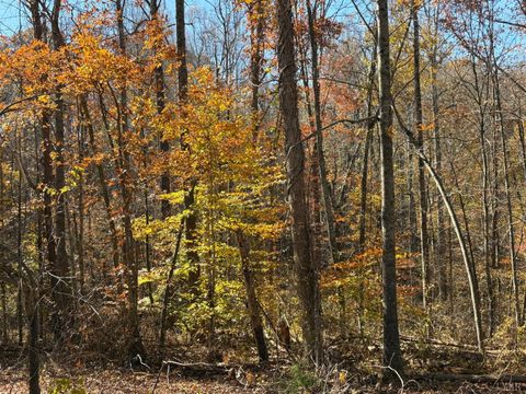 Tiny photo for 9 Richmond Highway, Amherst, VA 24521 (MLS # 362947)