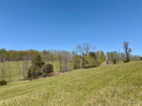 Tiny photo for 0 Greenhouse Road, Glade Hill, VA 24092 (MLS # 365834)