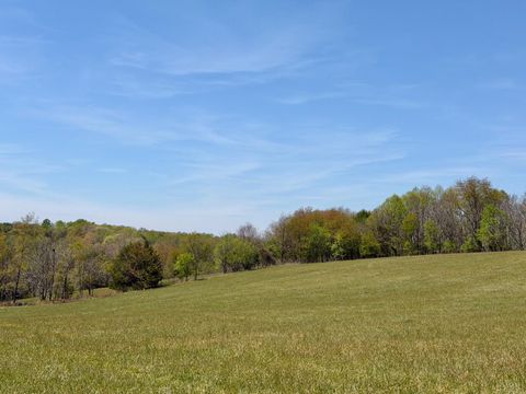 Tiny photo for 0 Greenhouse Road, Glade Hill, VA 24092 (MLS # 365834)