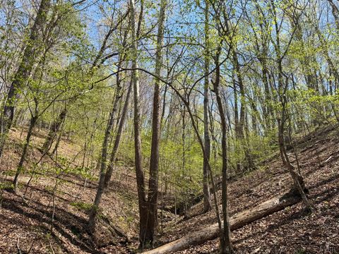 Tiny photo for 0 Greenhouse Road, Glade Hill, VA 24092 (MLS # 365834)
