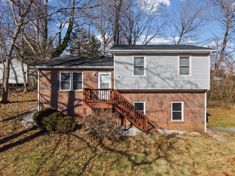 Photo of 128 Walnut Street, Amherst, VA 24521 (MLS # 364031)