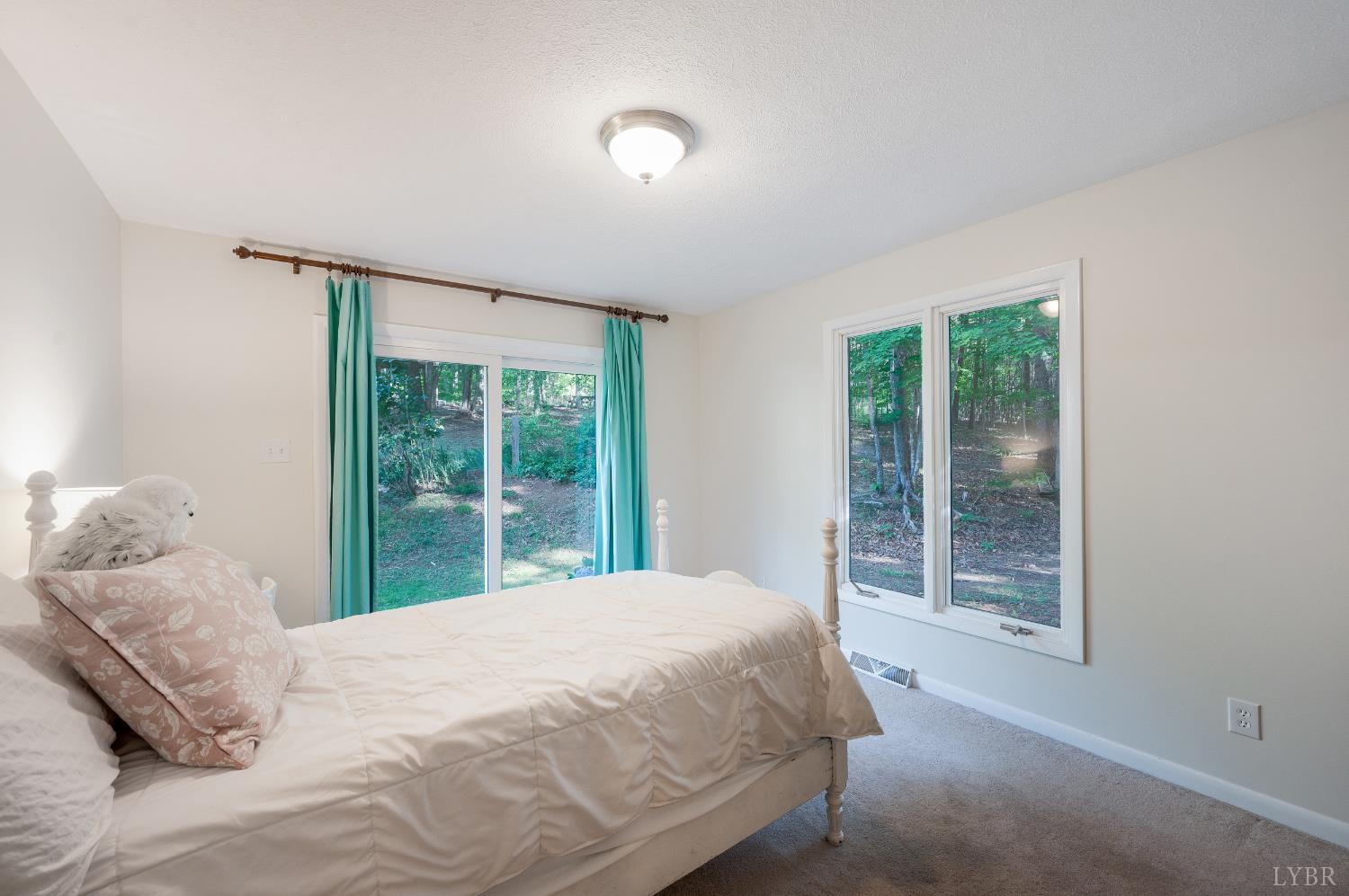 1230 Viewmont Drive, Evington, Virginia image 32