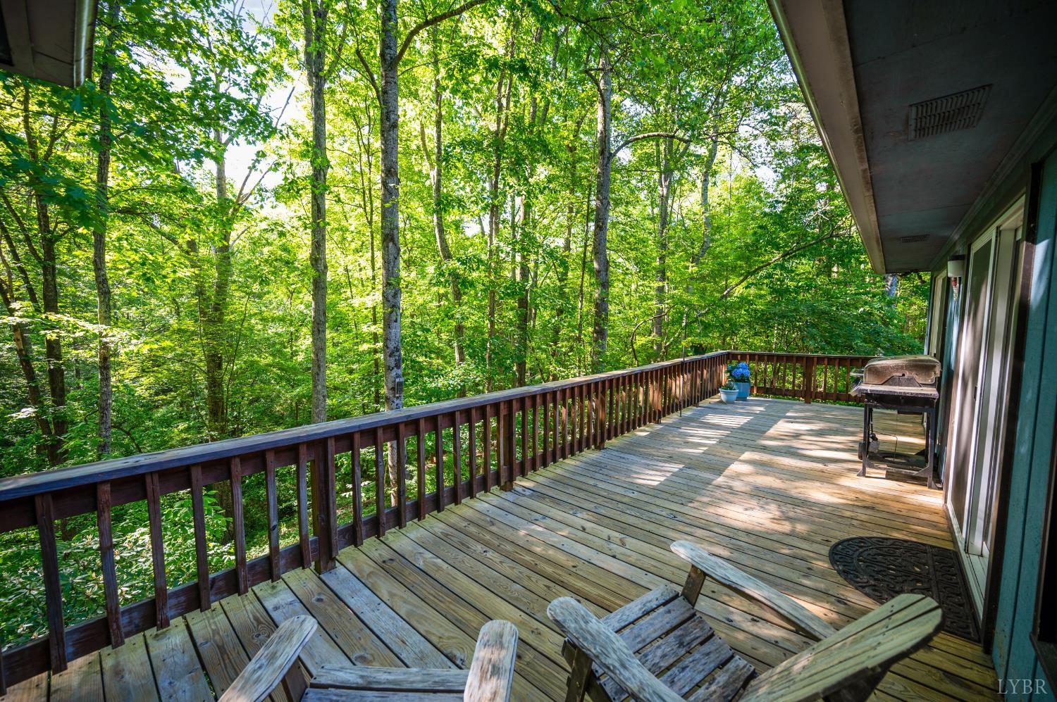 1230 Viewmont Drive, Evington, Virginia image 43