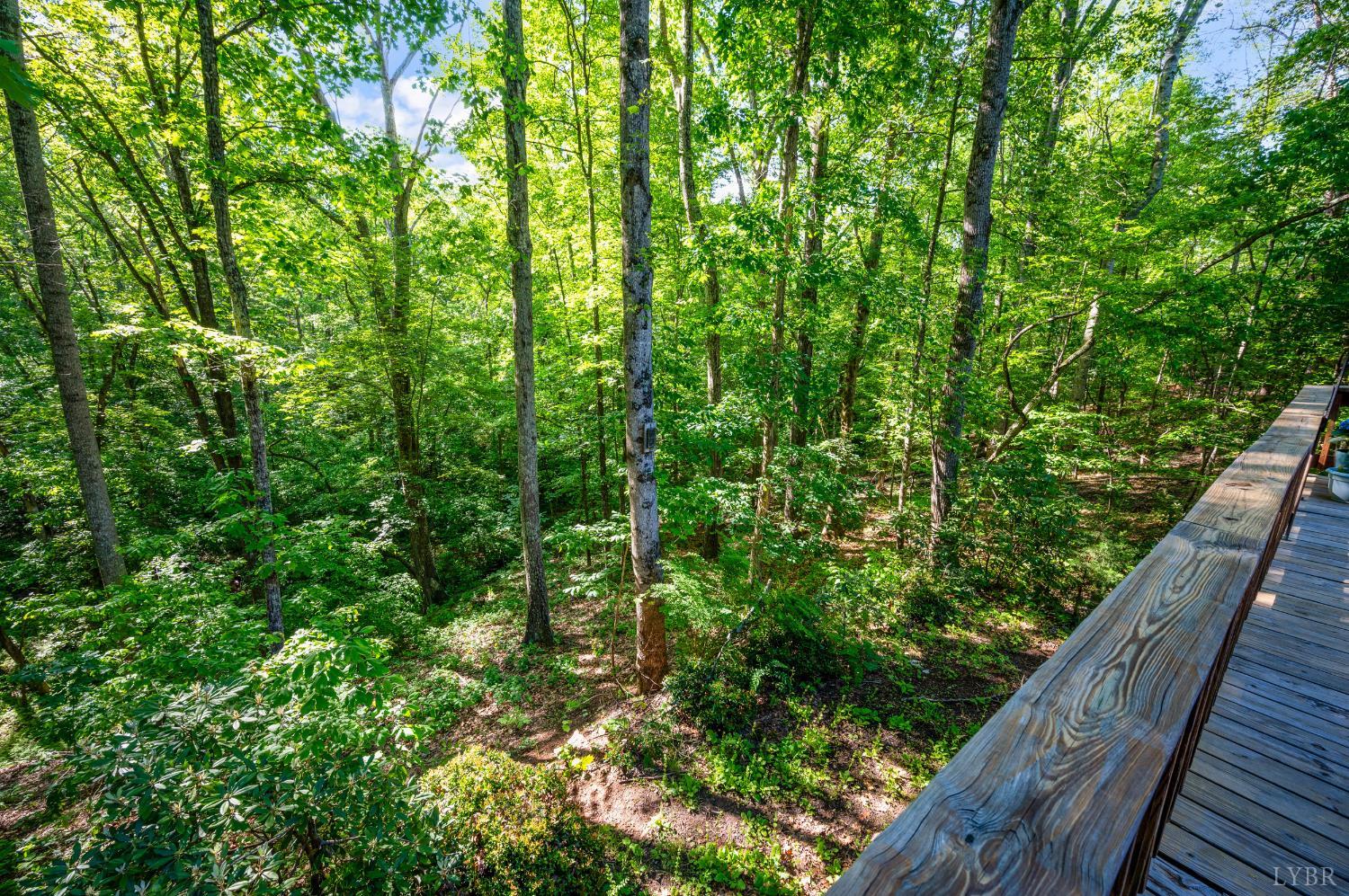 1230 Viewmont Drive, Evington, Virginia image 44