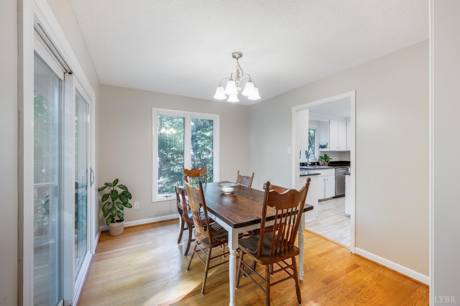 1230 Viewmont Drive, Evington, Virginia image 18