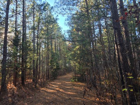 Photo of 0 Mountain Creek Road, Meherrin, VA 23954 (MLS # 363325)