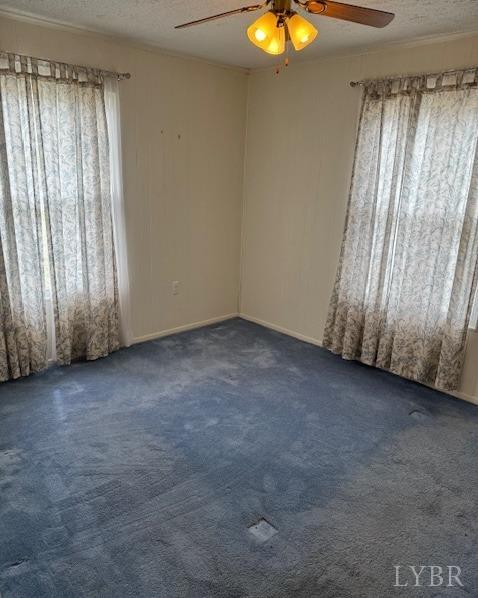 1093 Lyle Thomas Road, Concord, Virginia image 8