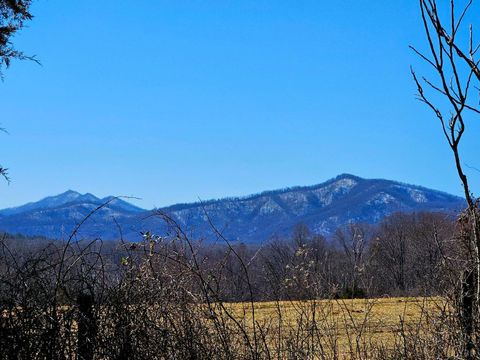 Tiny photo for 2066 Turkey Mountain Rd, Amherst, VA 24521 (MLS # 364193)