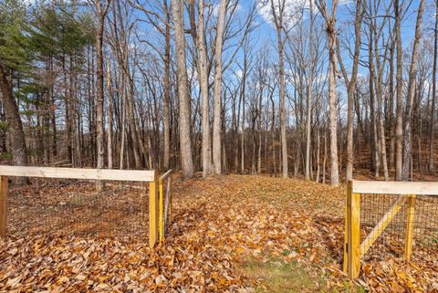 Tiny photo for 150 Oak Grove Drive, Madison Heights, VA 24572 (MLS # 363857)