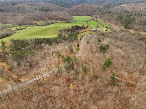 Tiny photo for 0 Carver Lee Road, Ferrum, VA 24088 (MLS # 366143)