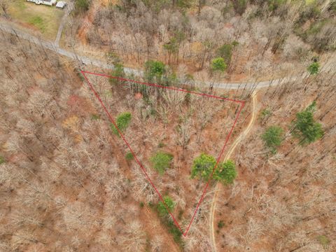 Tiny photo for 0 Carver Lee Road, Ferrum, VA 24088 (MLS # 366143)