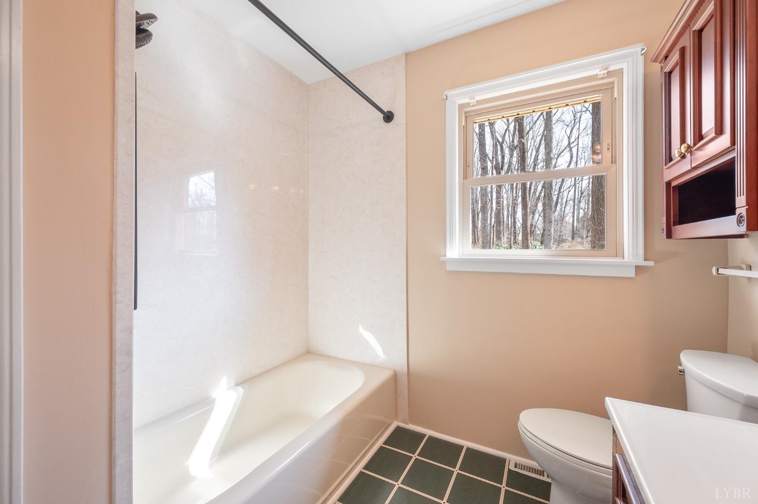 921 Watson Place, Bedford, Virginia image 22
