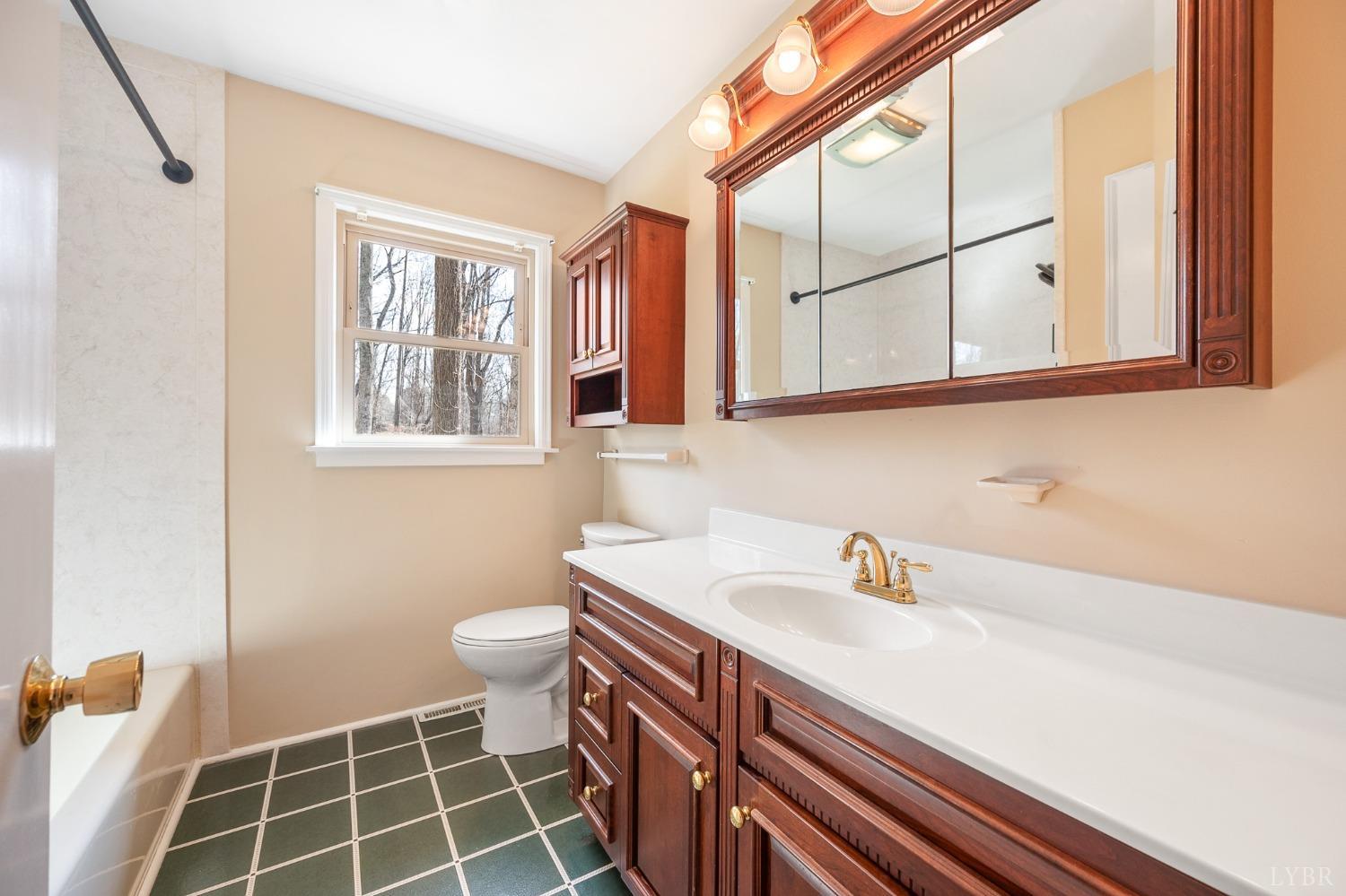 921 Watson Place, Bedford, Virginia image 21