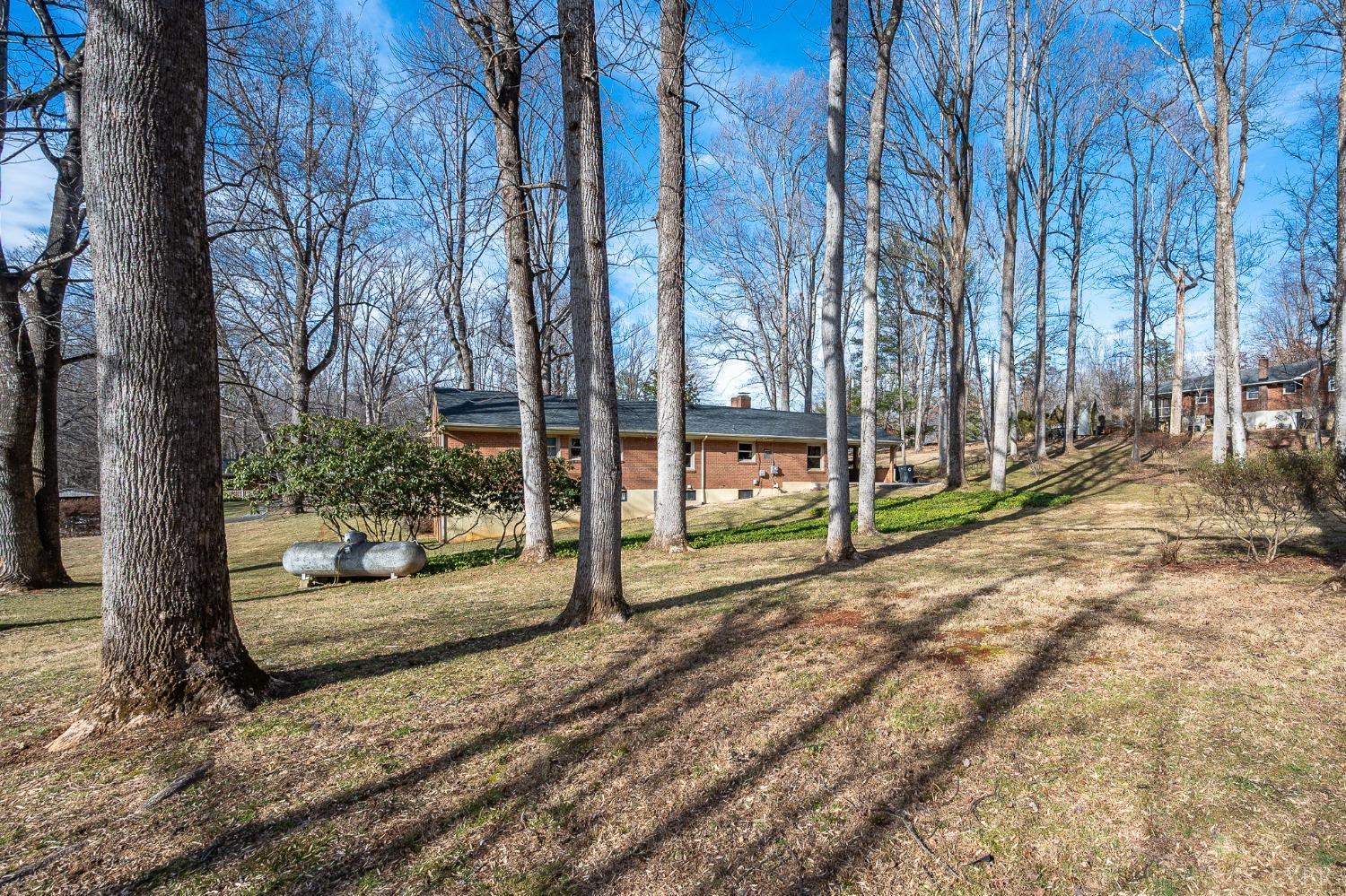 921 Watson Place, Bedford, Virginia image 49