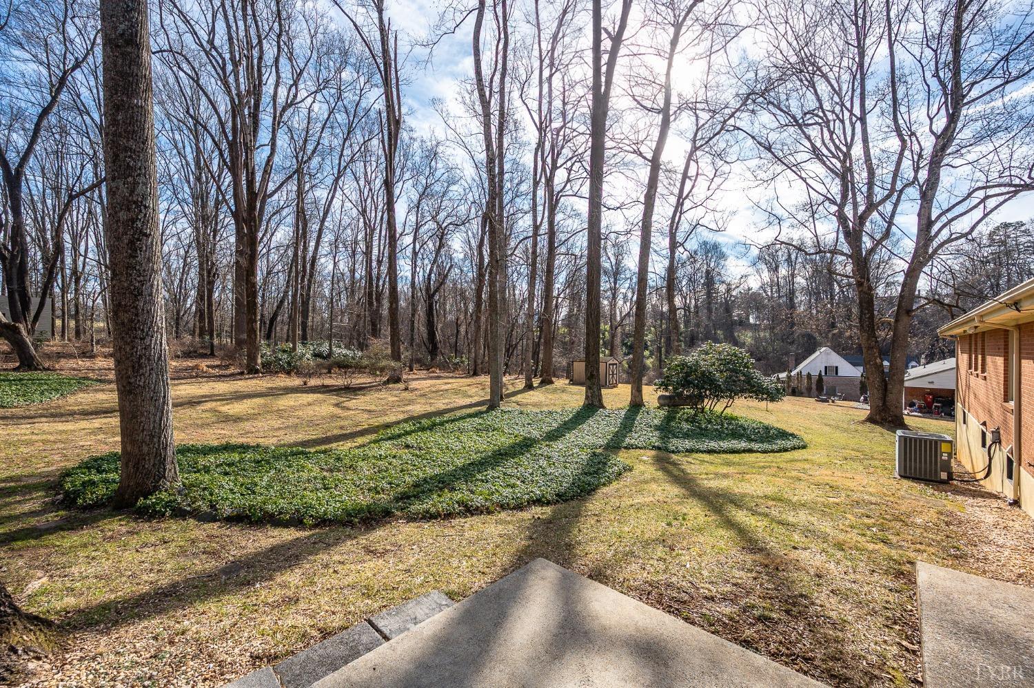 921 Watson Place, Bedford, Virginia image 46