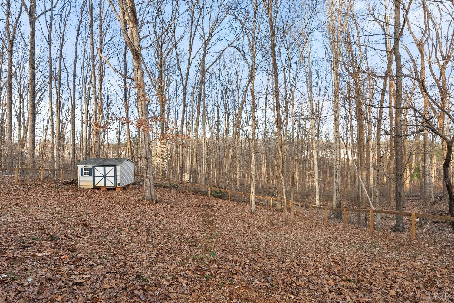 206 Simsbury Lane, Forest, Virginia image 50