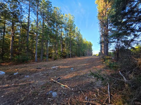 Photo of 0 Mountain Creek Road, Meherrin, VA 23954 (MLS # 363328)