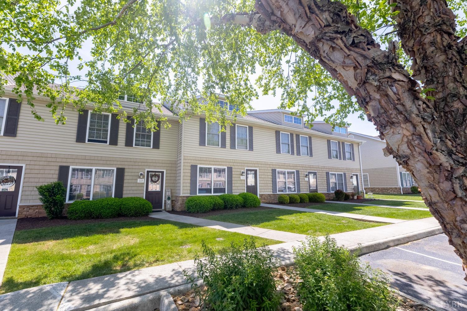 115 Old Tavern Circle, Lynchburg, Virginia image 21