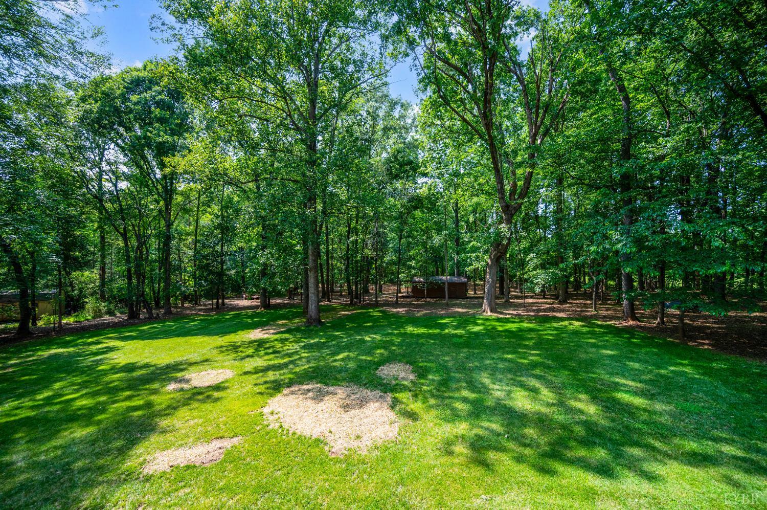 106 Stirling Court, Forest, Virginia image 38