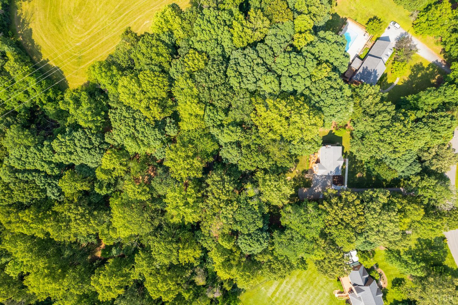 106 Stirling Court, Forest, Virginia image 49