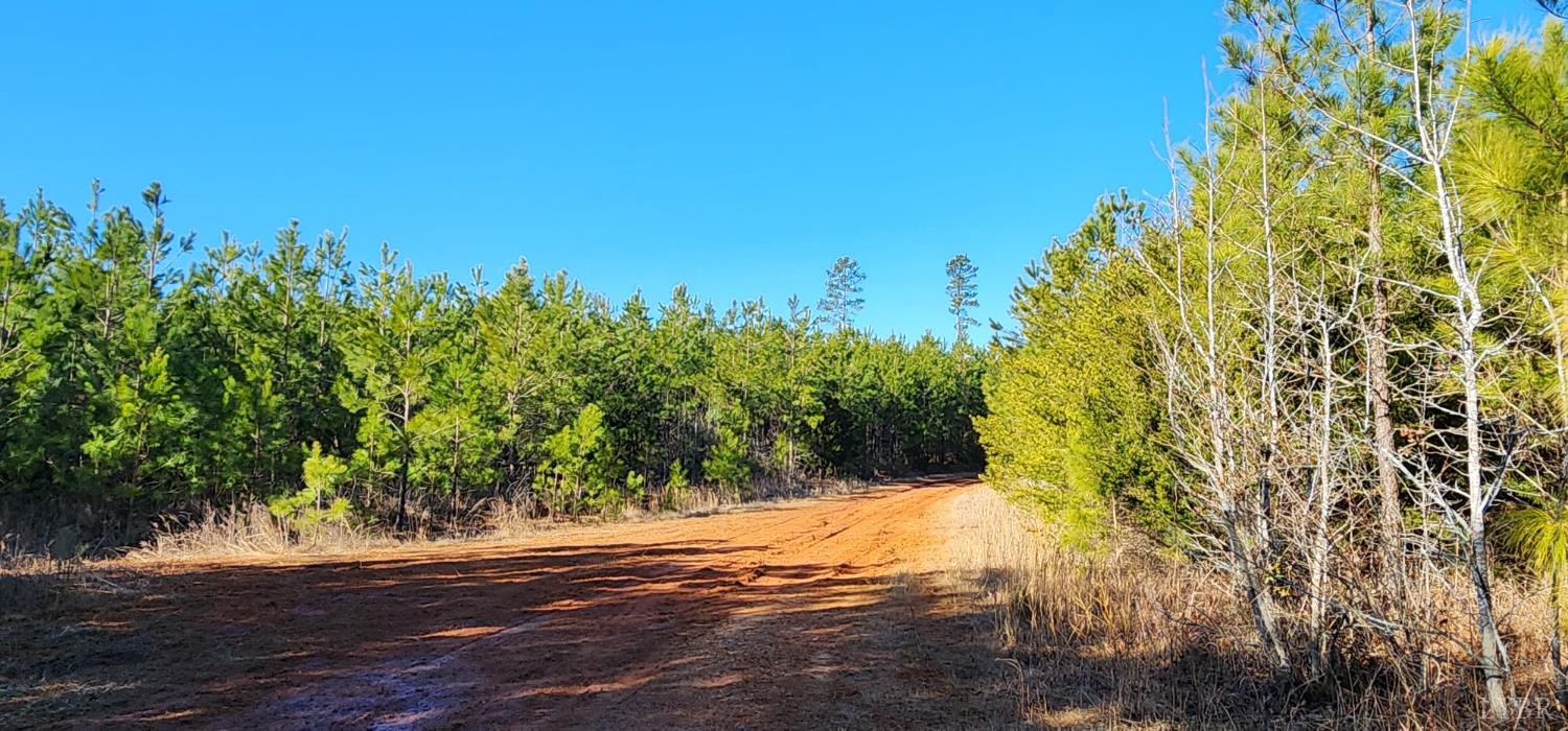 Cameron Lane, Nathalie, Virginia image 6