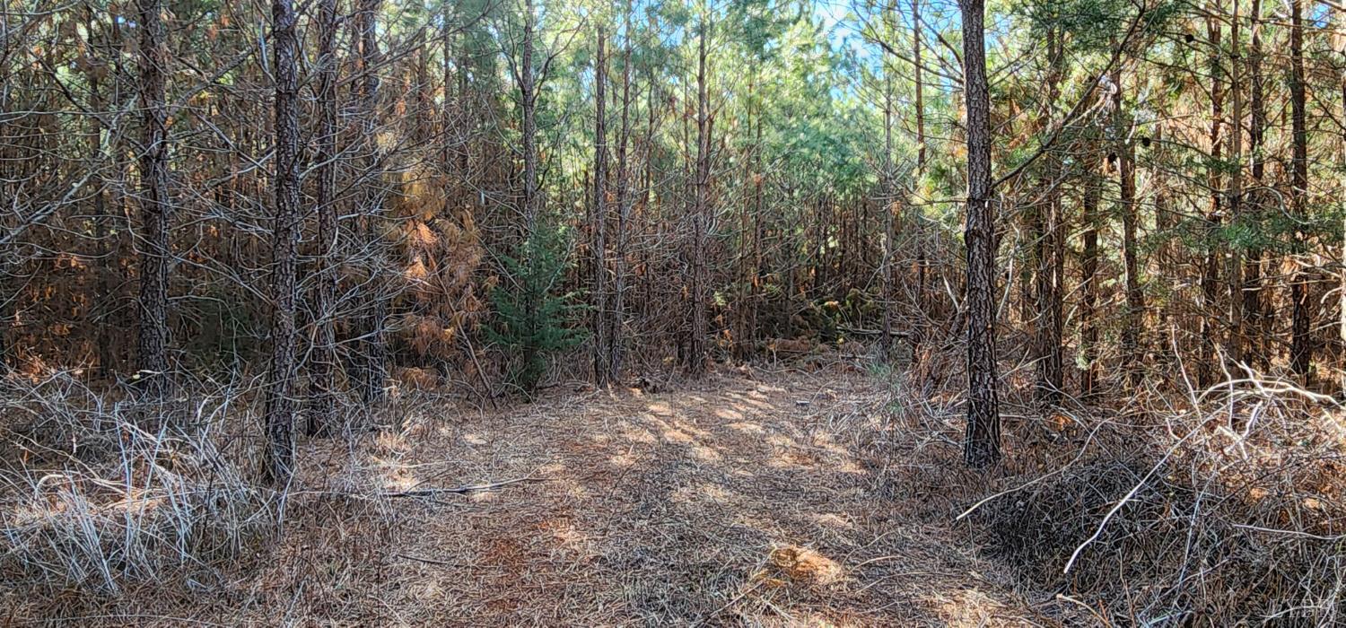 Cameron Lane, Nathalie, Virginia image 9