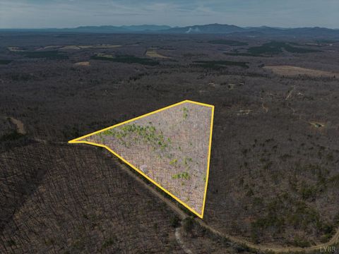 Tiny photo for 0 Larkin Mountain, Amherst, VA 24521 (MLS # 365381)