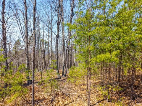 Tiny photo for 0 Larkin Mountain, Amherst, VA 24521 (MLS # 365381)