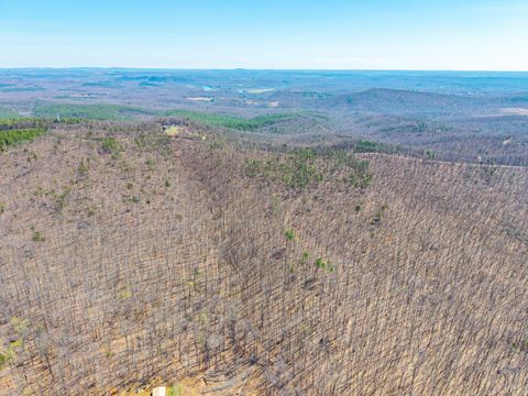Tiny photo for 0 Larkin Mountain, Amherst, VA 24521 (MLS # 365381)