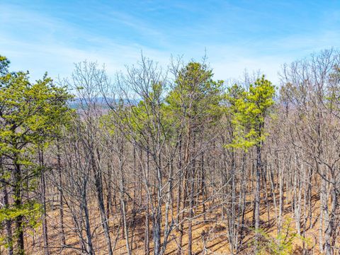 Tiny photo for 0 Larkin Mountain, Amherst, VA 24521 (MLS # 365381)
