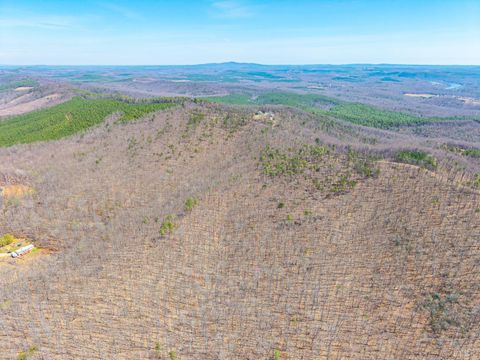 Tiny photo for 0 Larkin Mountain, Amherst, VA 24521 (MLS # 365381)