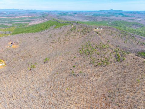 Tiny photo for 0 Larkin Mountain, Amherst, VA 24521 (MLS # 365381)