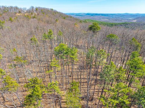 Tiny photo for 0 Larkin Mountain, Amherst, VA 24521 (MLS # 365381)