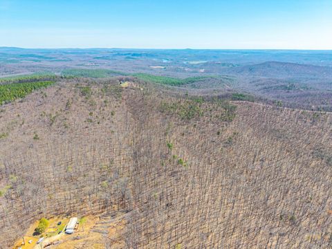 Tiny photo for 0 Larkin Mountain, Amherst, VA 24521 (MLS # 365381)