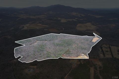 Tiny photo for 2724 W Perch Road, Monroe, VA 24574 (MLS # 364807)