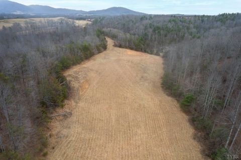 Tiny photo for 2724 W Perch Road, Monroe, VA 24574 (MLS # 364807)