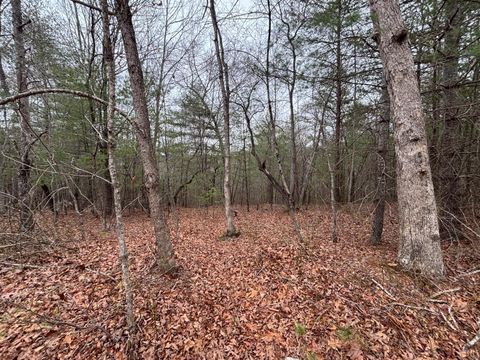 Tiny photo for 2724 W Perch Road, Monroe, VA 24574 (MLS # 364807)