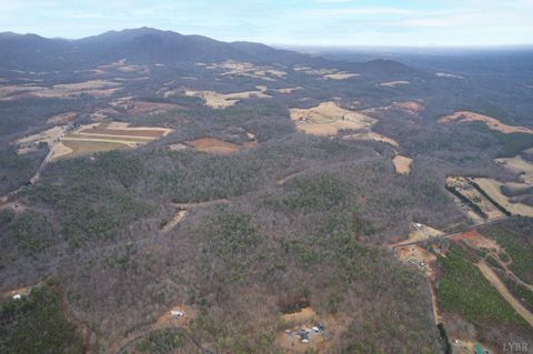 Tiny photo for 2724 W Perch Road, Monroe, VA 24574 (MLS # 364807)