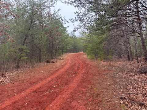 Tiny photo for 2724 W Perch Road, Monroe, VA 24574 (MLS # 364807)