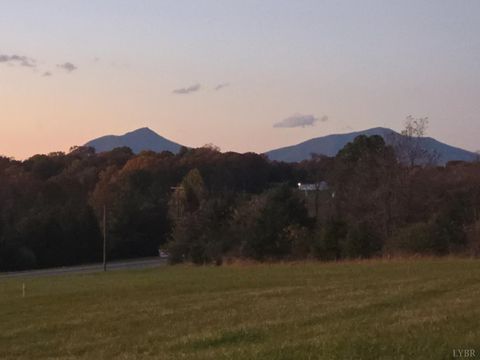 Tiny photo for 0 Moneta Road, Moneta, VA 24121 (MLS # 363267)