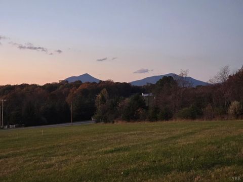 Photo of 0 Moneta Road, Moneta, VA 24121 (MLS # 363267)