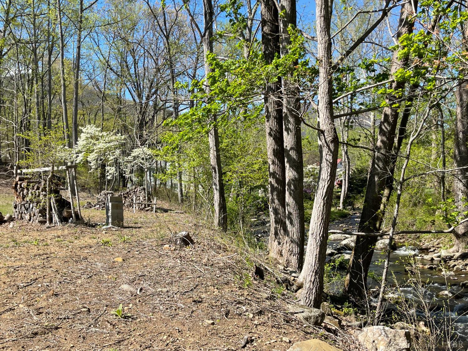 N Otter Creek Road, Bedford, Virginia image 9