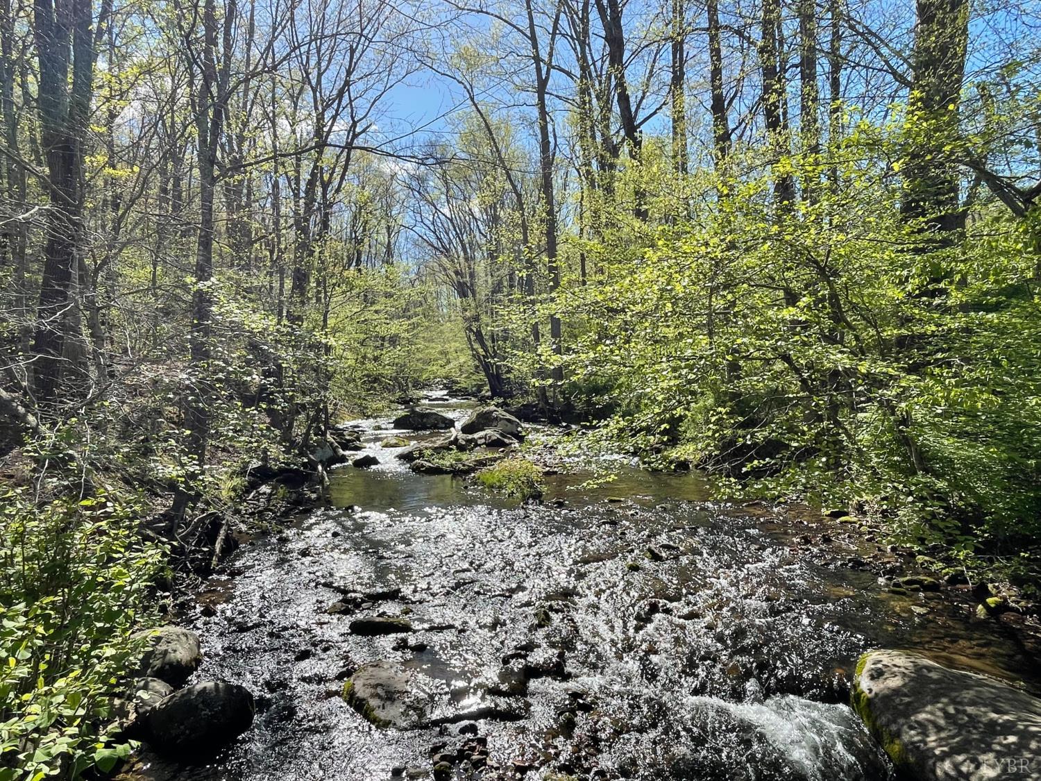 N Otter Creek Road, Bedford, Virginia image 18