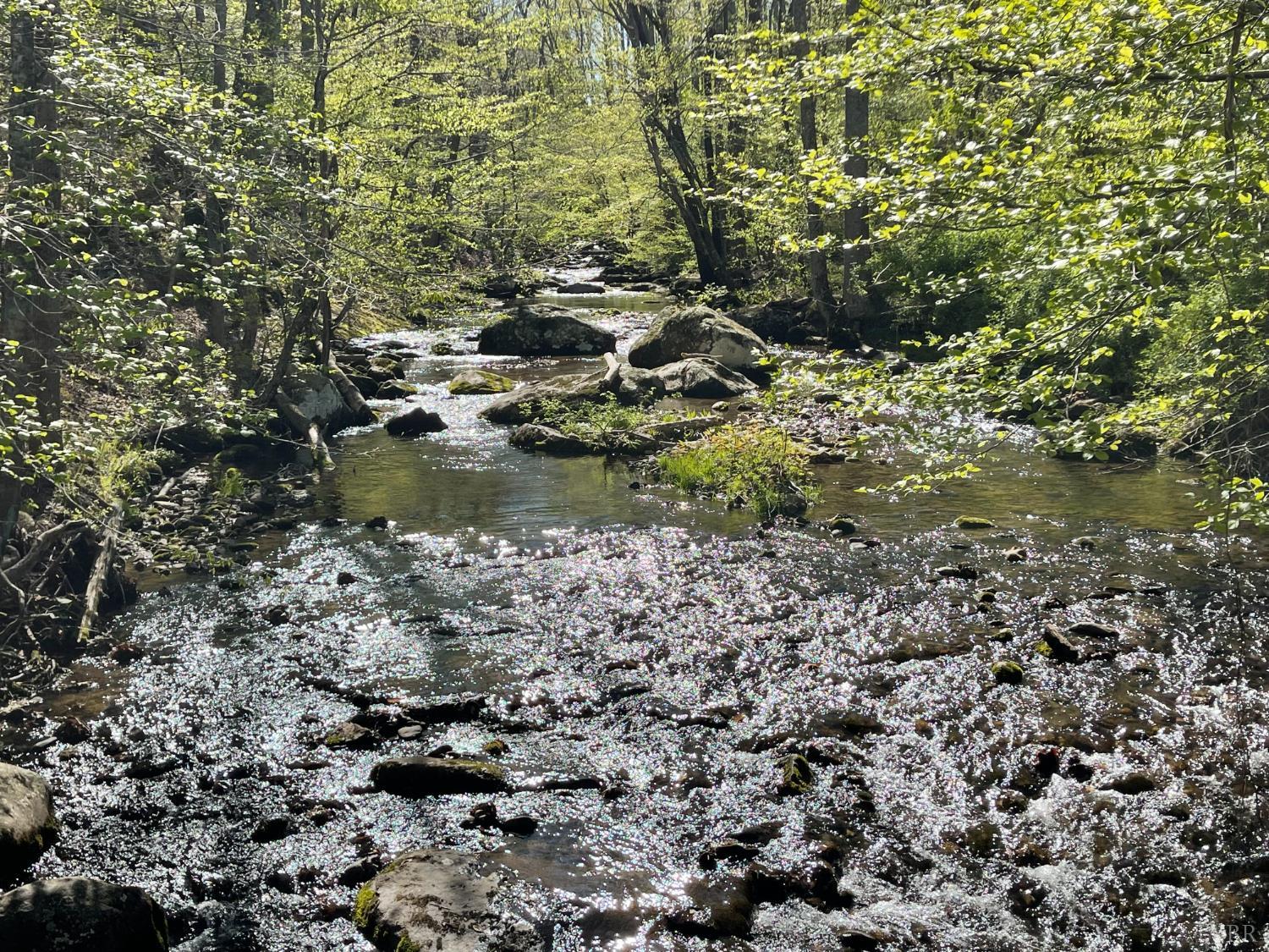 N Otter Creek Road, Bedford, Virginia image 20