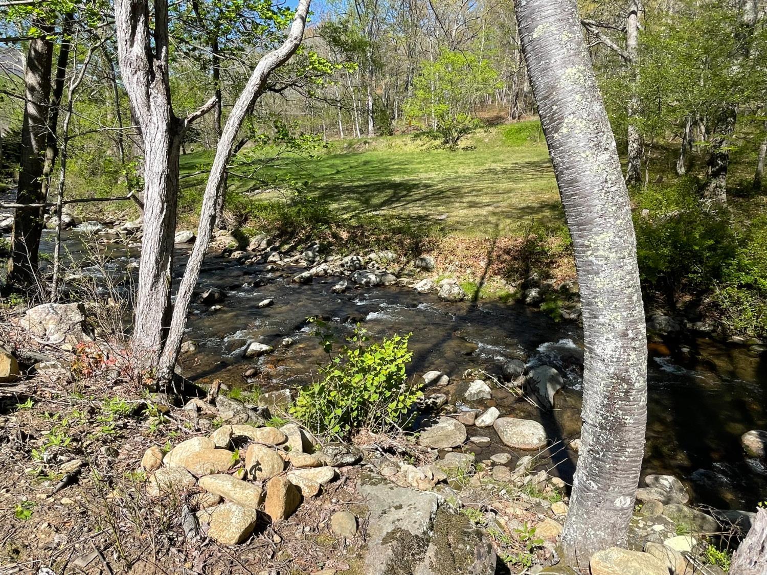 N Otter Creek Road, Bedford, Virginia image 10