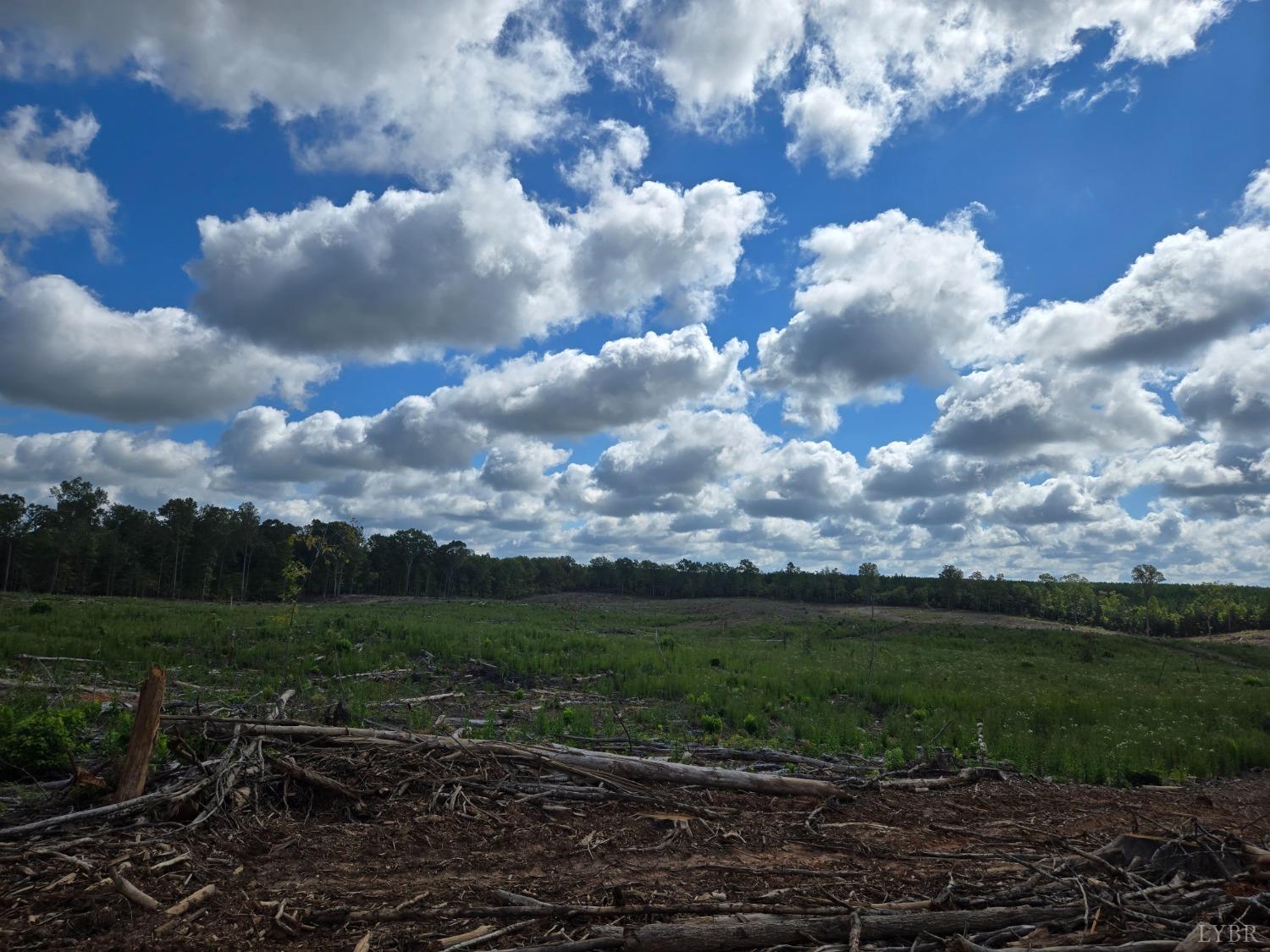 Porters Rd, Esmont, Virginia image 5