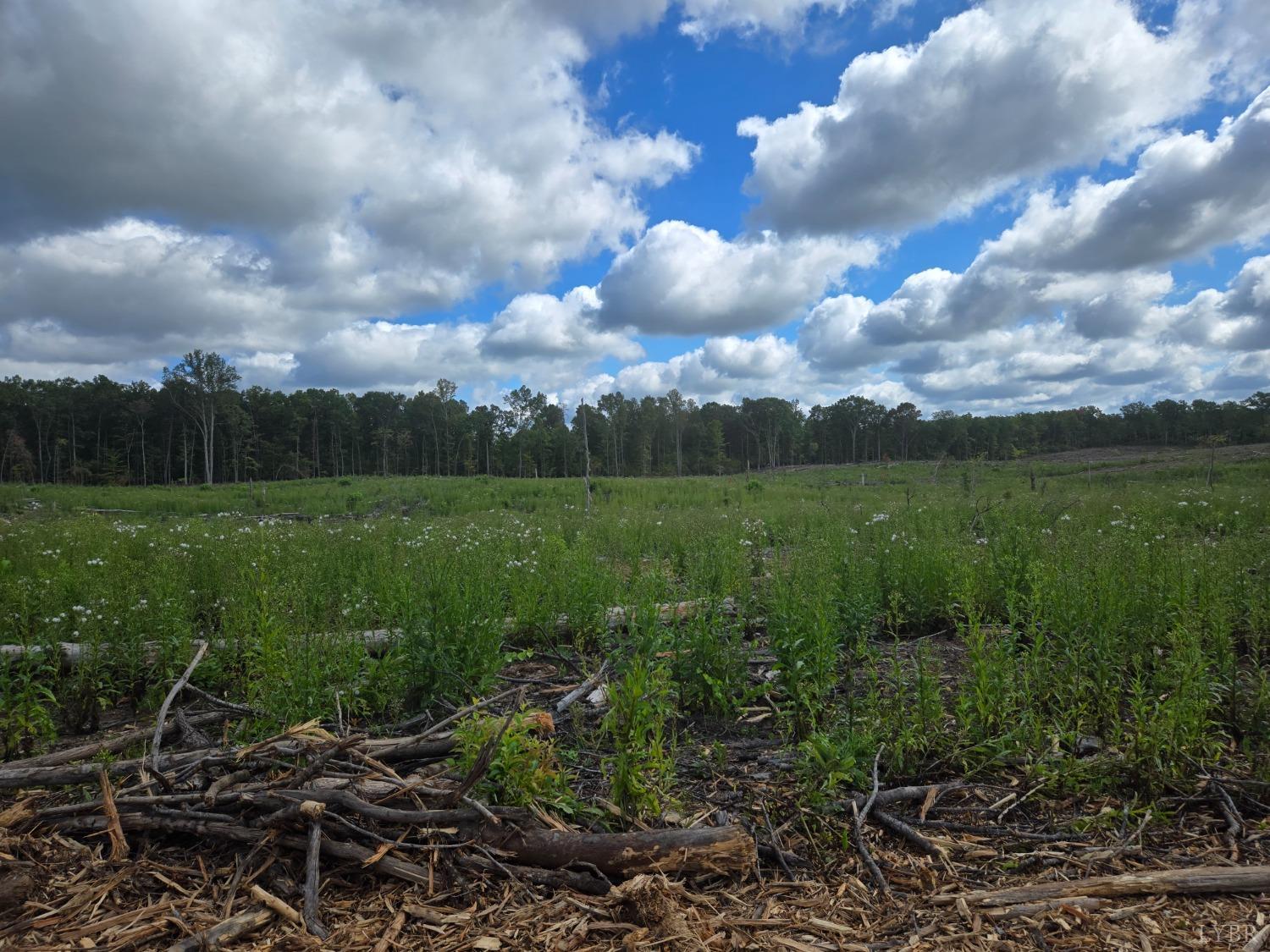 Porters Rd, Esmont, Virginia image 1