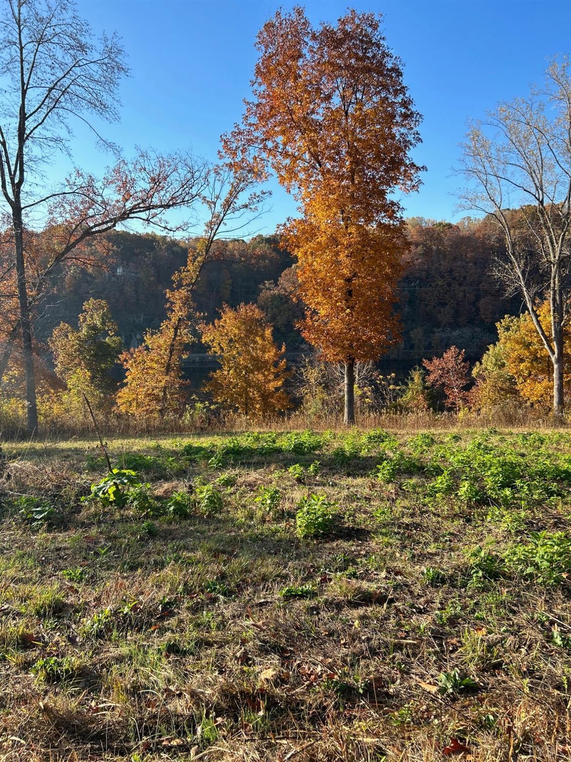 Burgess Road, Madison Heights, Virginia image 16