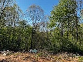 1088 Twilight Drive, Bedford, Virginia image 6