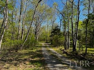1088 Twilight Drive, Bedford, Virginia image 2